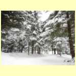 DSCN2758.JPG